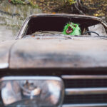 Die Band Green Machine aus Einbeck