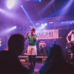 Deep Öhler Konzert beim Eulenfest in Einbeck 2016