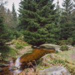 Wanderung zum Brocken über den Goetheweg im Harz