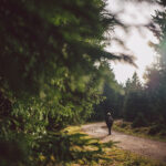 Wanderung zum Brocken über den Goetheweg im Harz