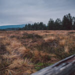 Wanderung zum Brocken über den Goetheweg im Harz