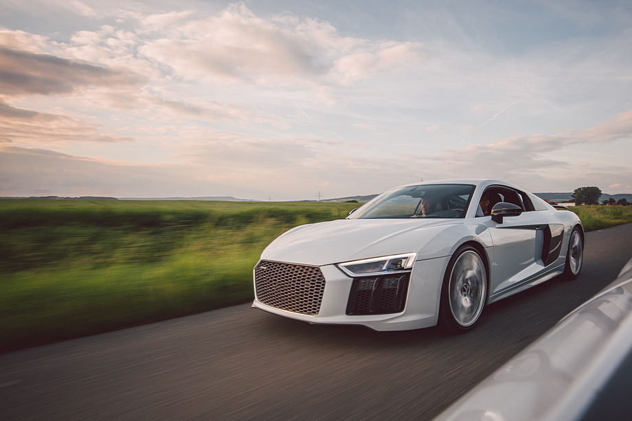 Foto-Shoot mit ganz vielen Pferden