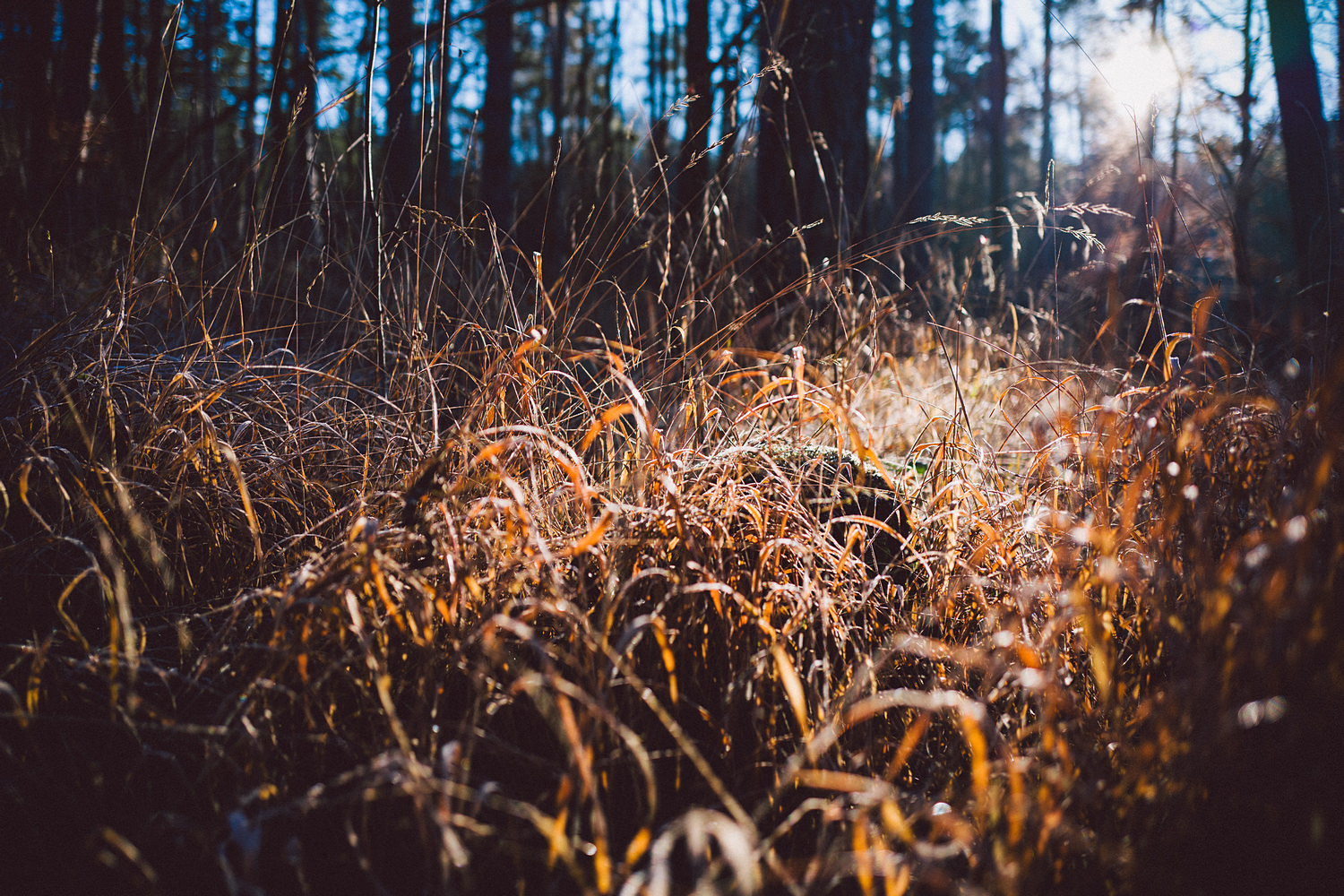 Jahresaufgabe 2019: Wochenrückblicke