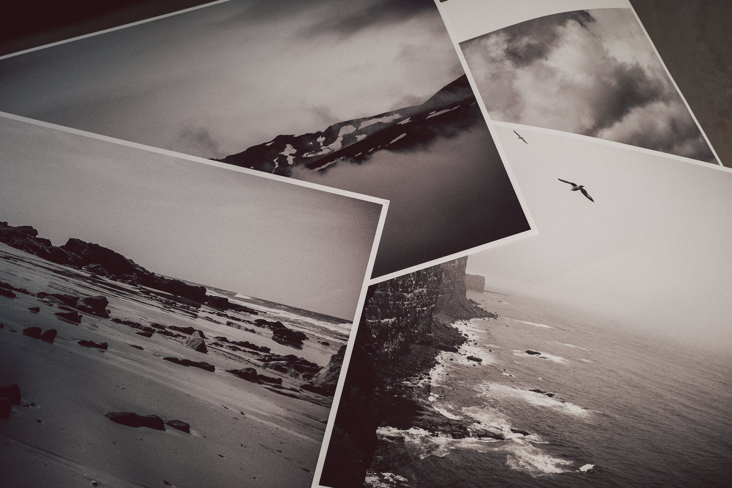 2020 startet mit einer Spendenaktion