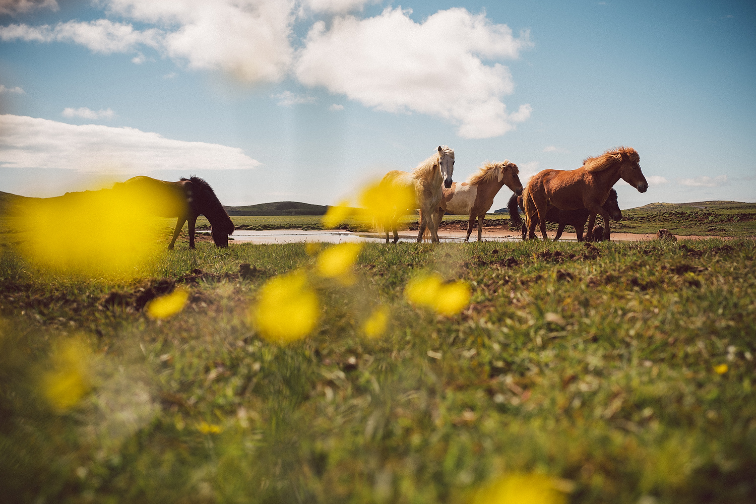 Island im Juli, unser Roadtrip 2017