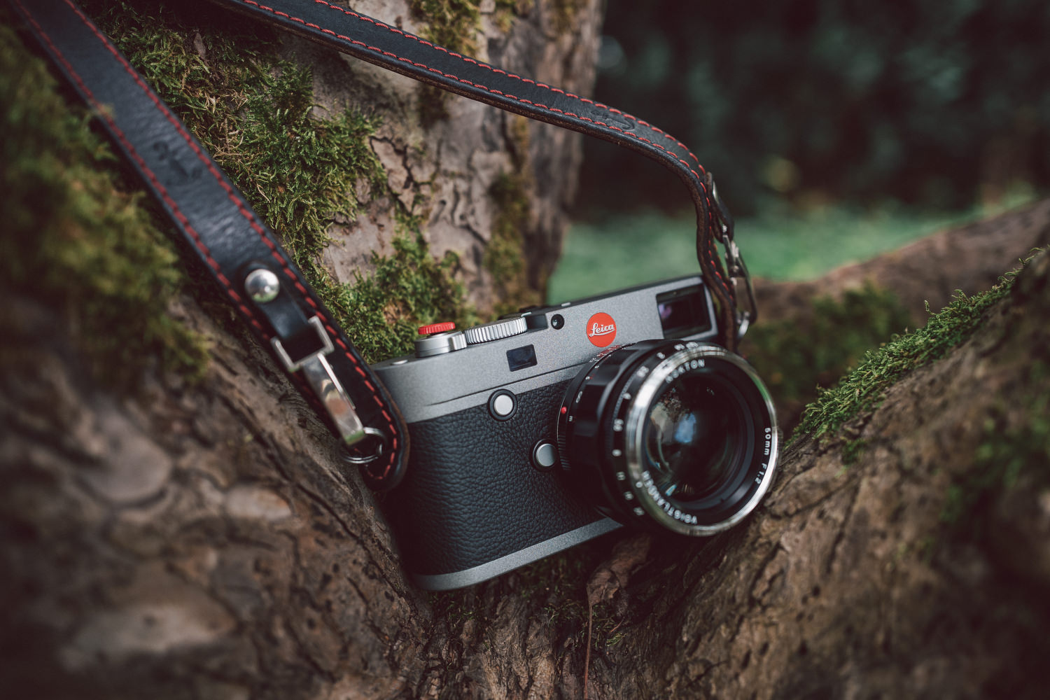 Kopf aus, Herz an – Leica M-E 240