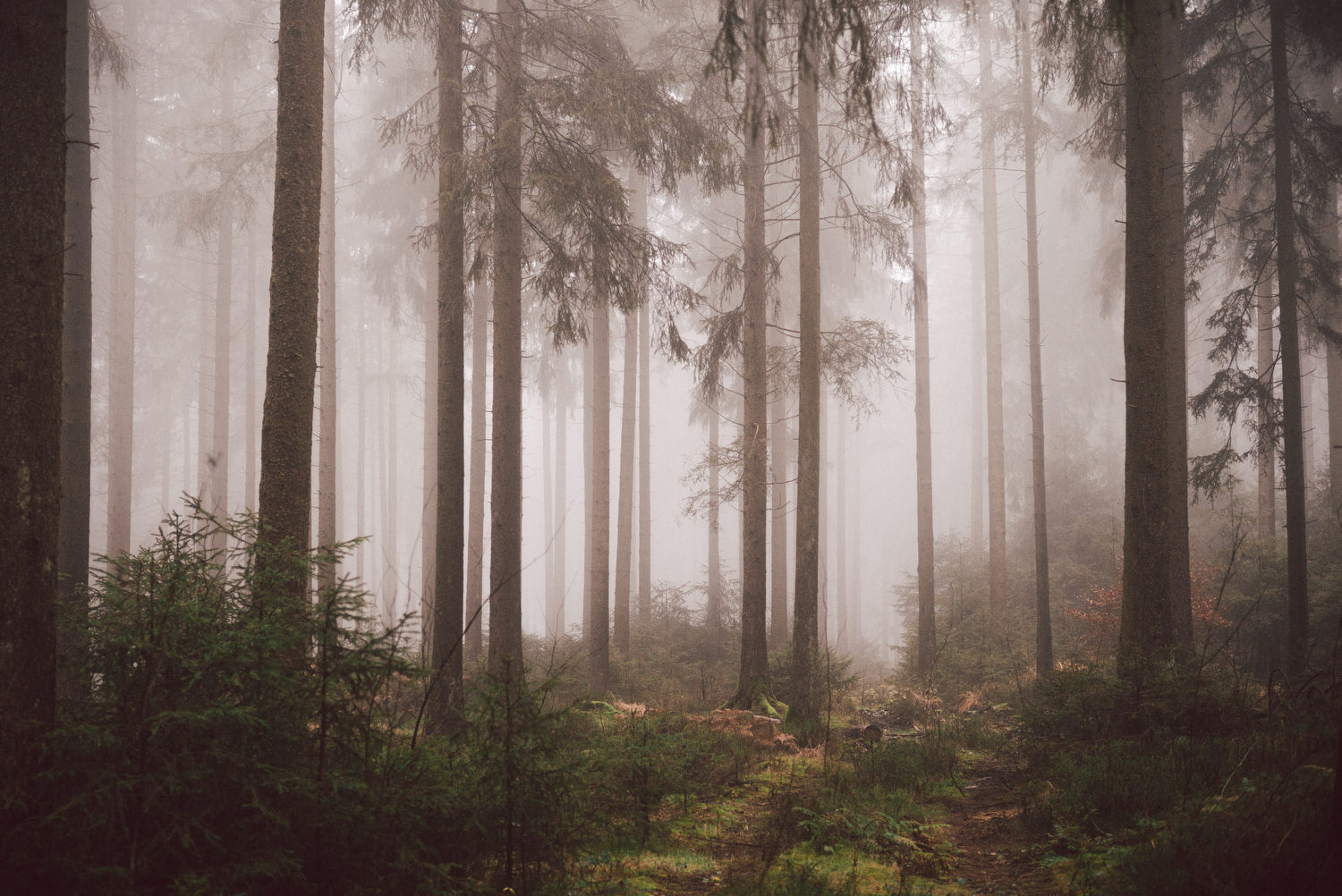 2020 – Corona ohne Kurzarbeit