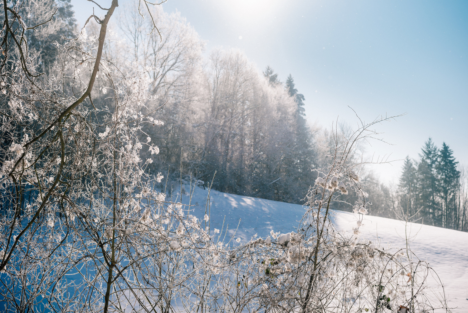 Schneechaos in Niedersachsen