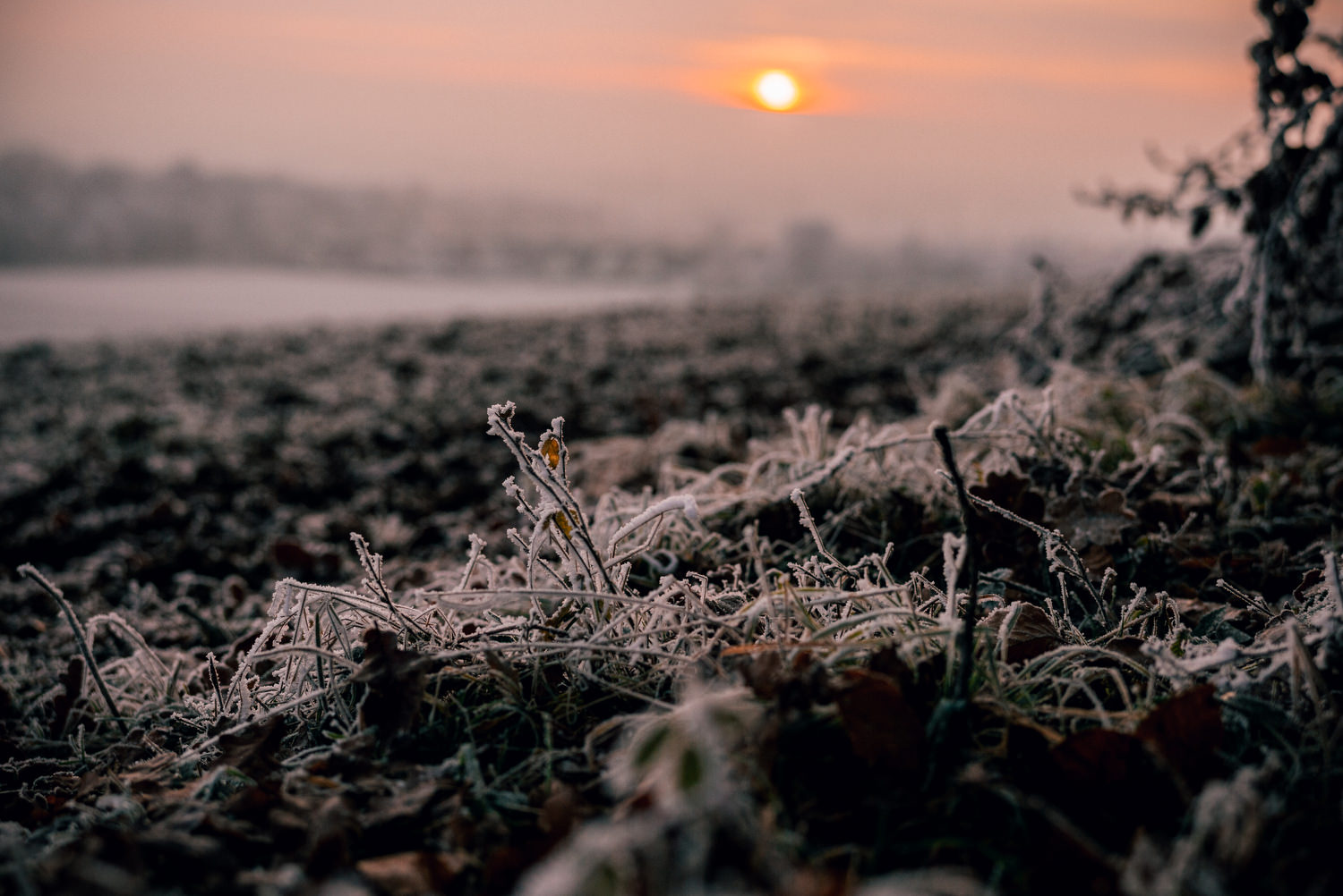 2021 – fulminanter Start und holprige Landung