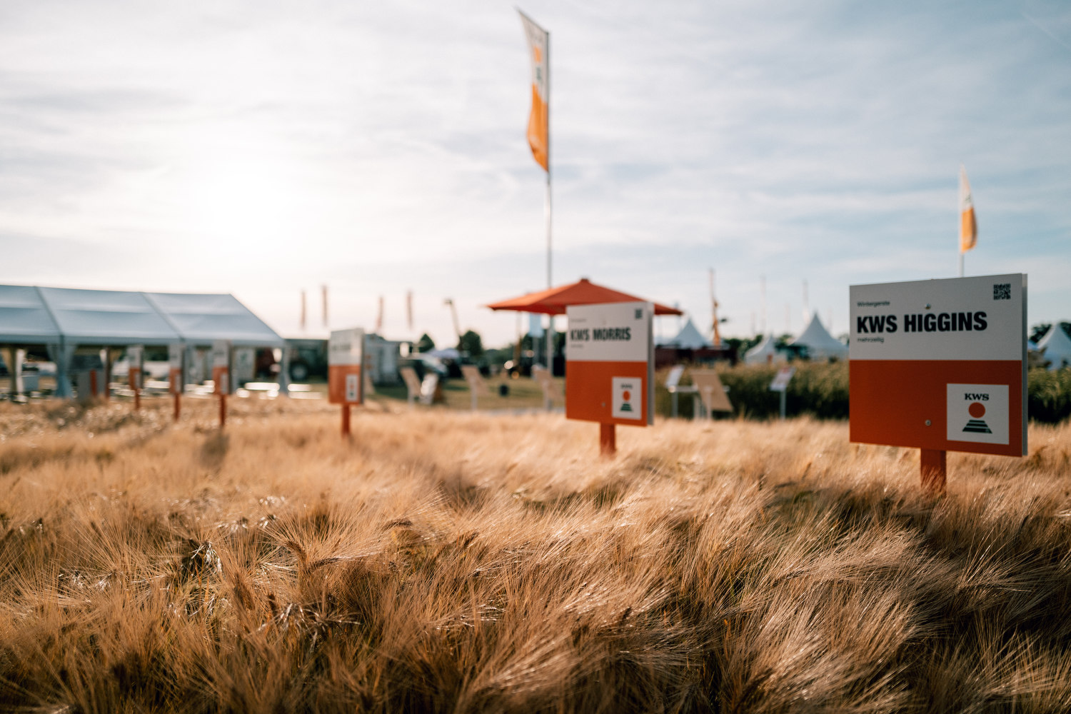 Auf den DLG Feldtagen für KWS